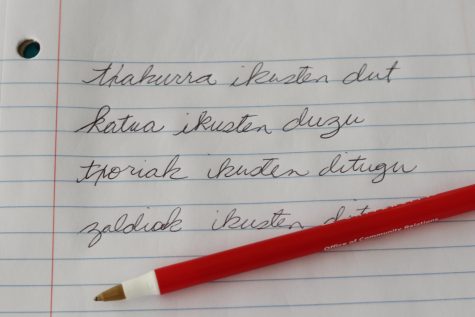 Basque sentences written on notebook paper